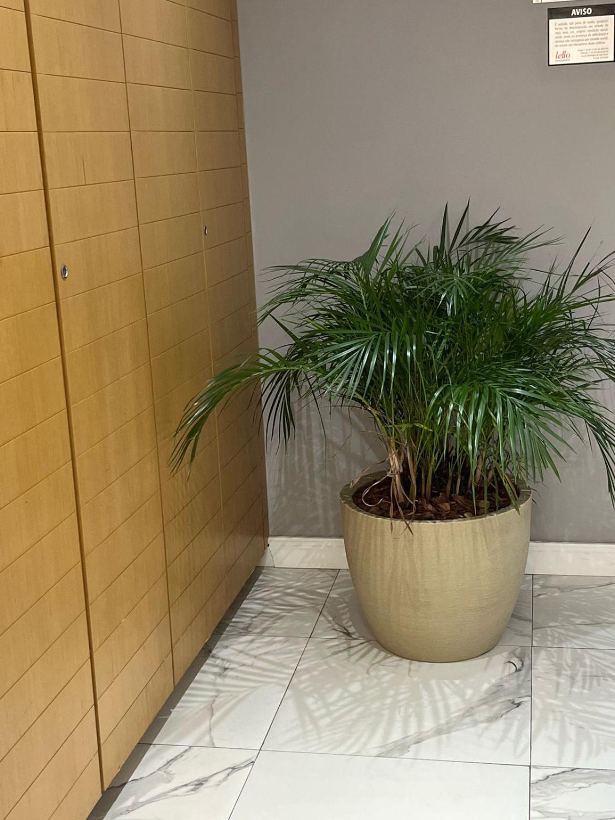 Shop Club Guilherme Apartment